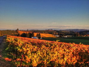 Pre- Thanksgiving Weekend at Trinity @ Trinity Vineyards | Salem | Oregon | United States