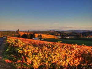 Fall Wine Club Party  (Private Event) @ Trinity Vineyards | Salem | Oregon | United States