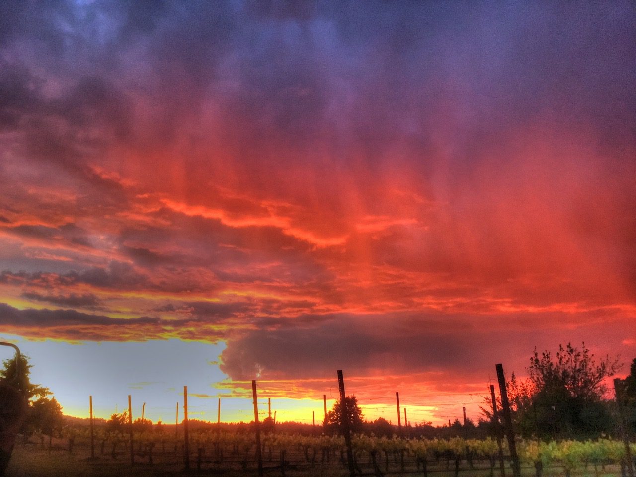 A red sky with clouds and a fence
