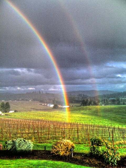 Double Rainbow A double rainbow over the vineyard in the hills.