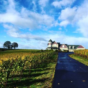 Closed For Remodel @ Trinity Vineyards | Salem | Oregon | United States