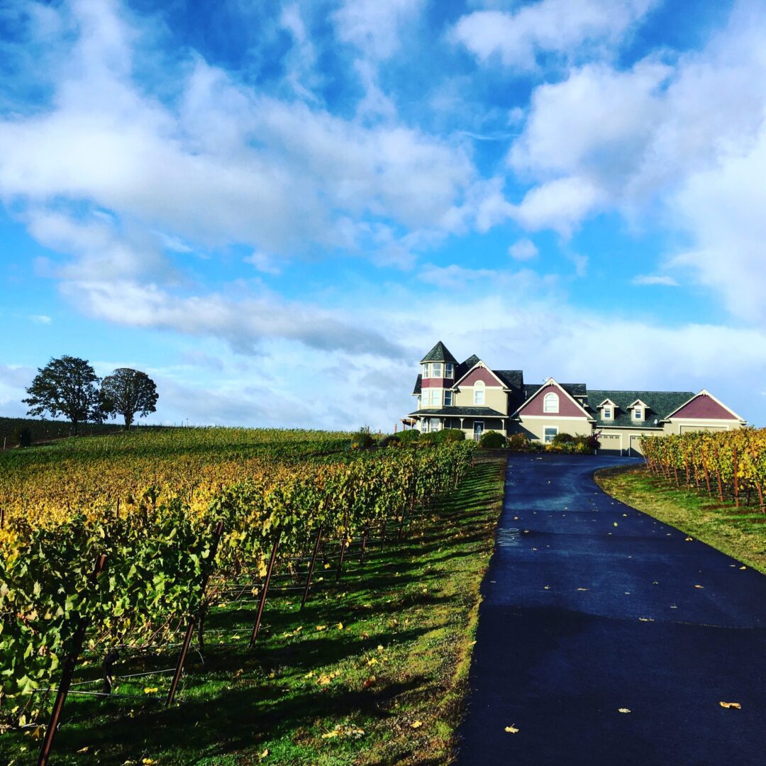 A house on the side of a road in a field.