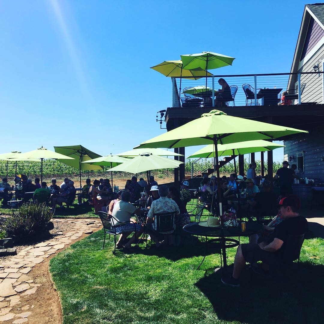 A group of people sitting under umbrellas at an outdoor event.