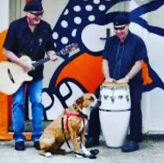 Two men and a dog are playing music.