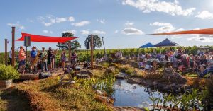 Stump City Soul @ Trinity Vineyards | Salem | Oregon | United States