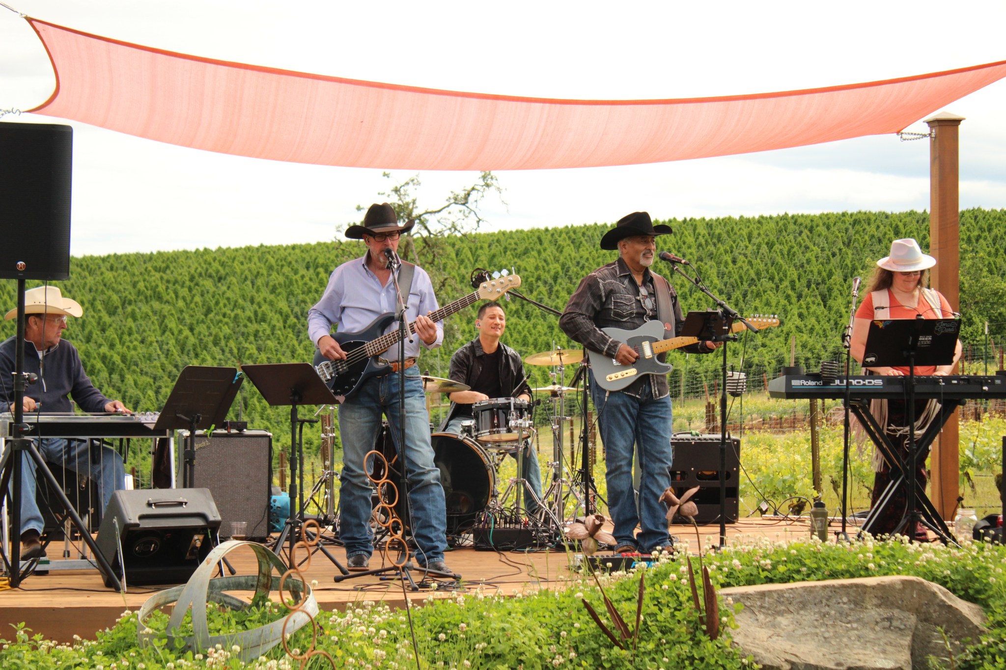 A group of men playing instruments in the grass.